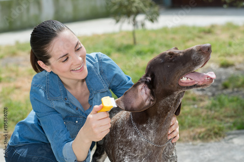 female vet stroking dog at animal shelter