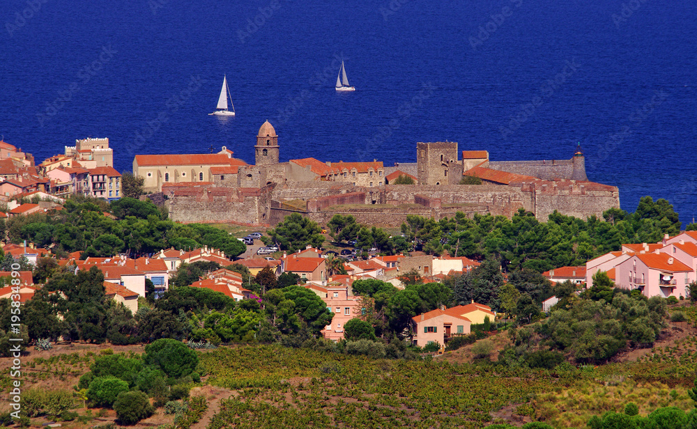 Collioure village and the Mediterranean sea, south of France, Roussillon