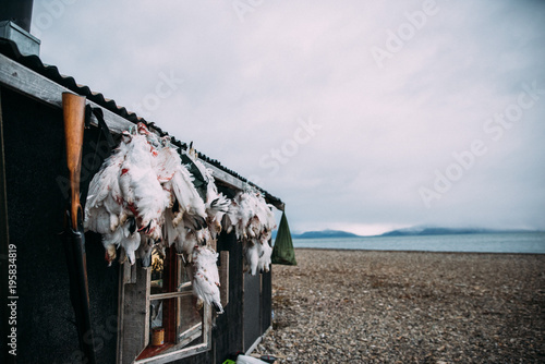 Hunting cabin
