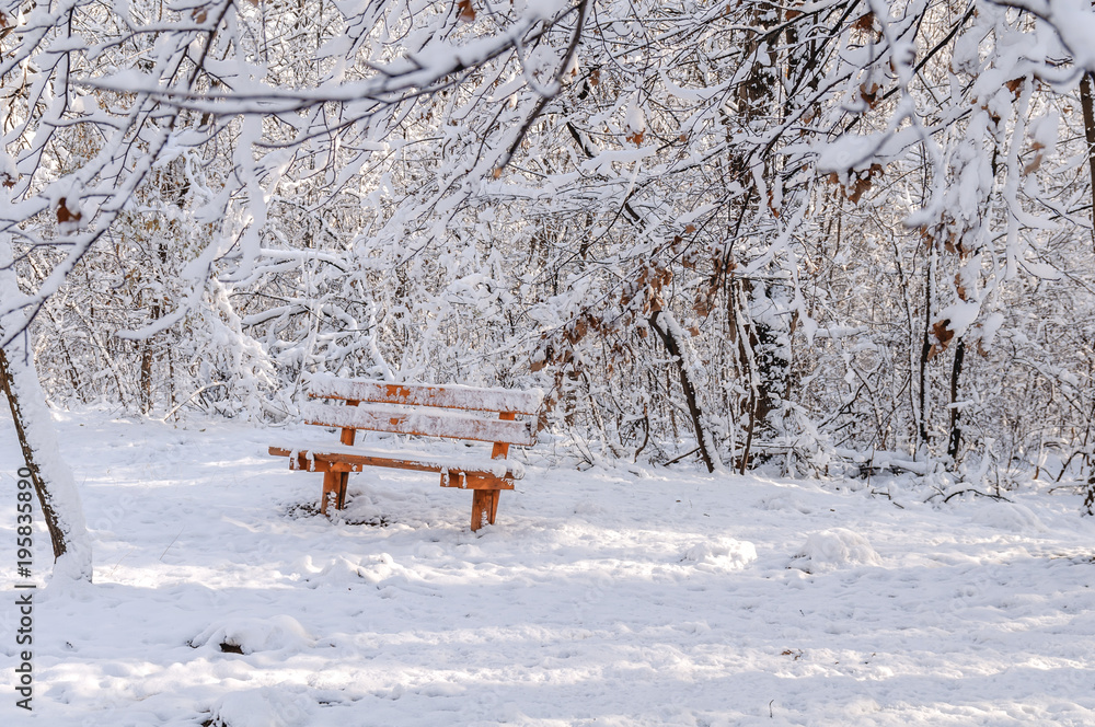 Red wooden bench on winter sunny day in the city forest nature cold snow