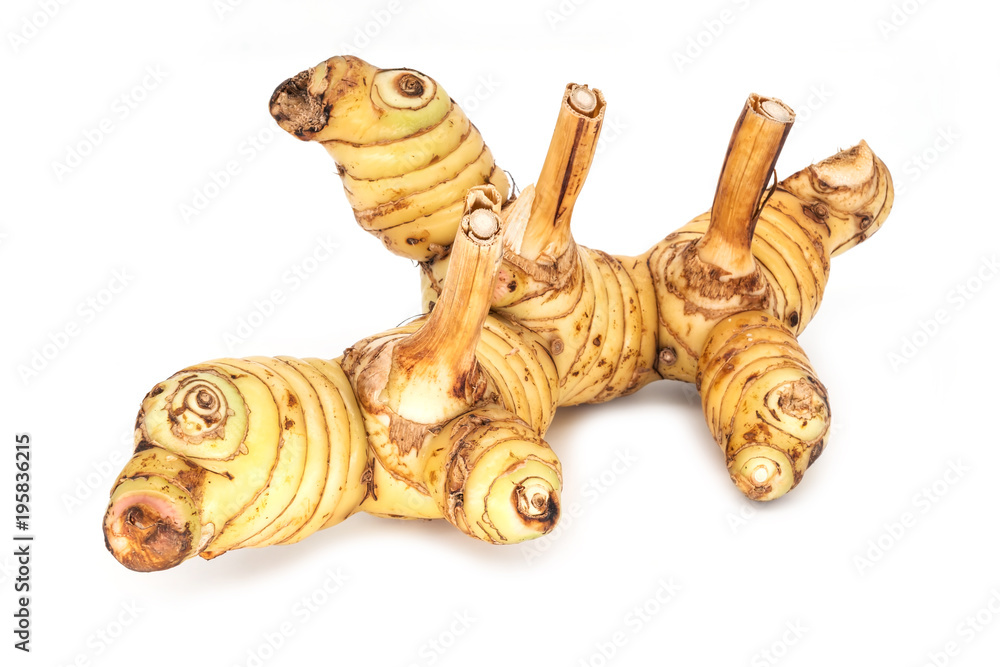 Ingwerwurzelstock isoliert