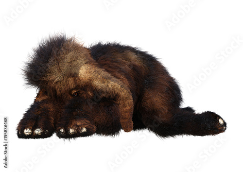 3D Rendering Baby Woolly Mammoth on White