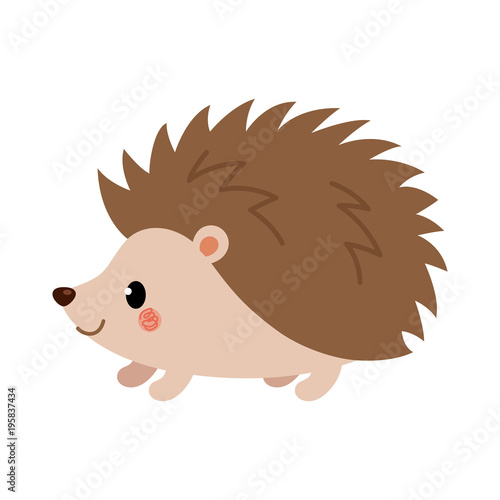 Adorable hedgehog in modern flat style. Vector. photo
