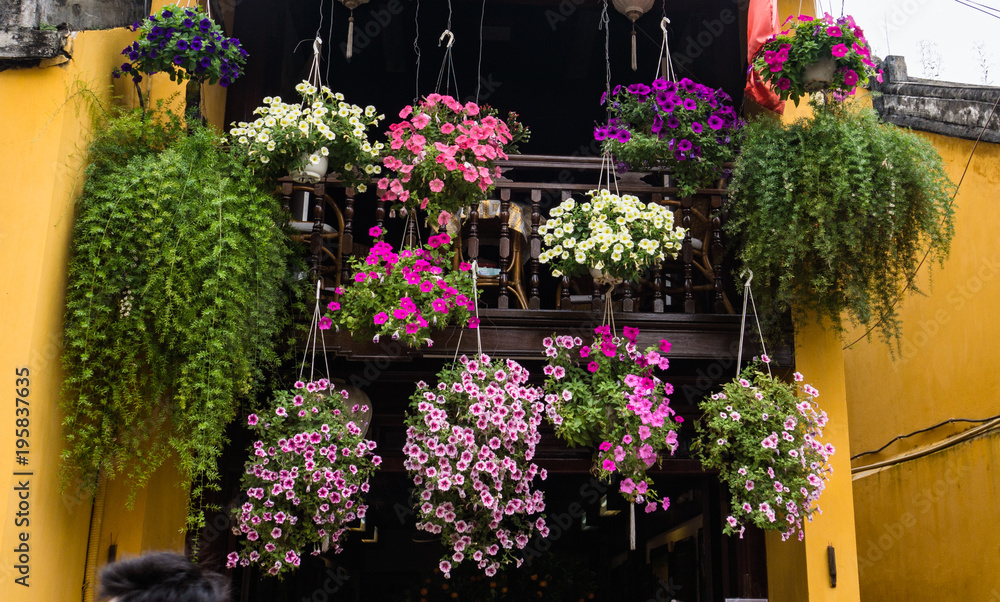 baskets of brightly colored flowers hanging from the balcony of historic older building baskets of brightly colored flowers hanging from the balcony of historic older building