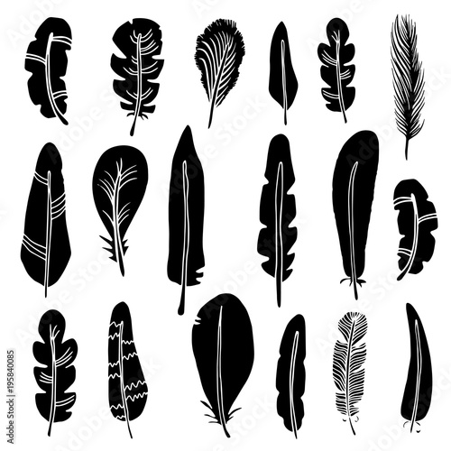 Hand drawn bird feathers, black silhouettes