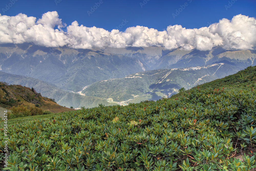 Beautiful scenic landscape of Caucasian mountain ridge covered with range of cumulus clouds on sunny summer day under blue sky with scrubby green rhododendron growth on foreground