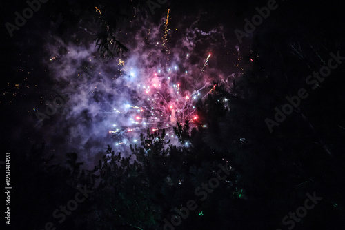 Fototapeta Naklejka Na Ścianę i Meble -  Beautiful colorful fireworks display for celebration on dark background
