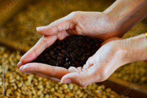 Girl hold robusta coffee beans in her hands.