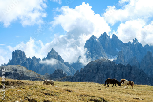 Berglandschaft in Norditalien mit Ponies auf der Weide auf den Drei Zinnen