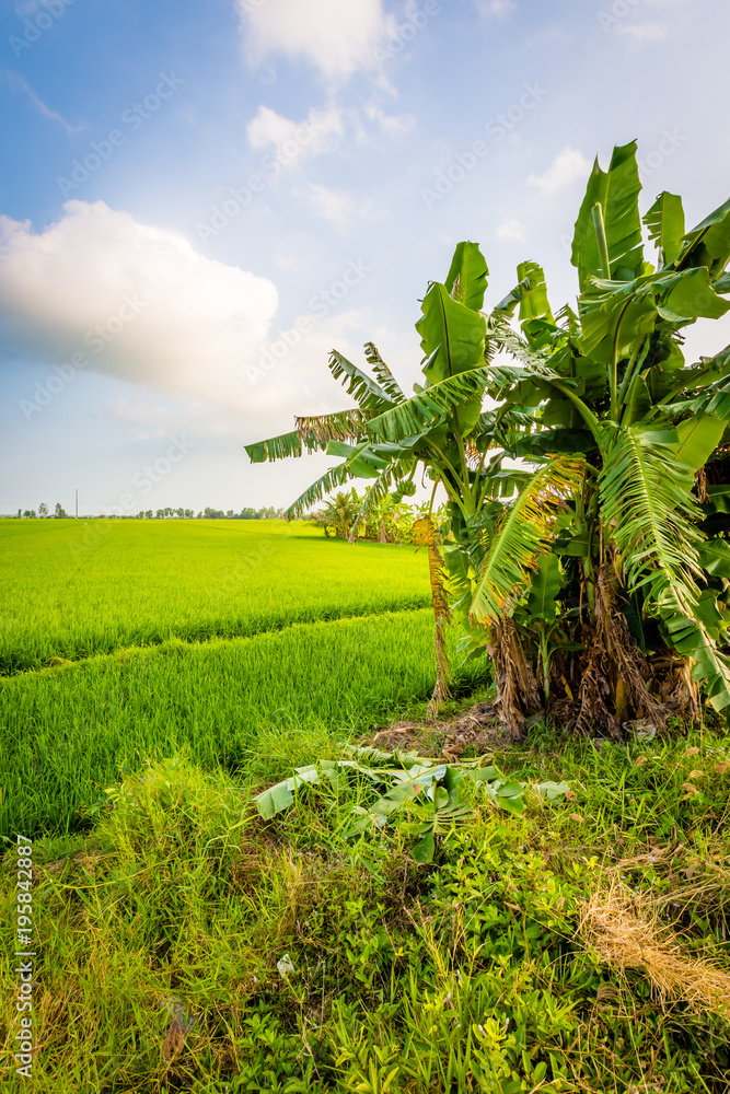 Vietnam Vietnam