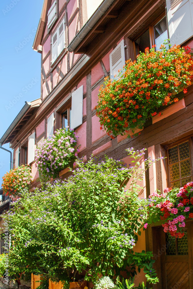 Eguisheim. Maisons à colombages, Alsace, Haut Rhin. Grand Est