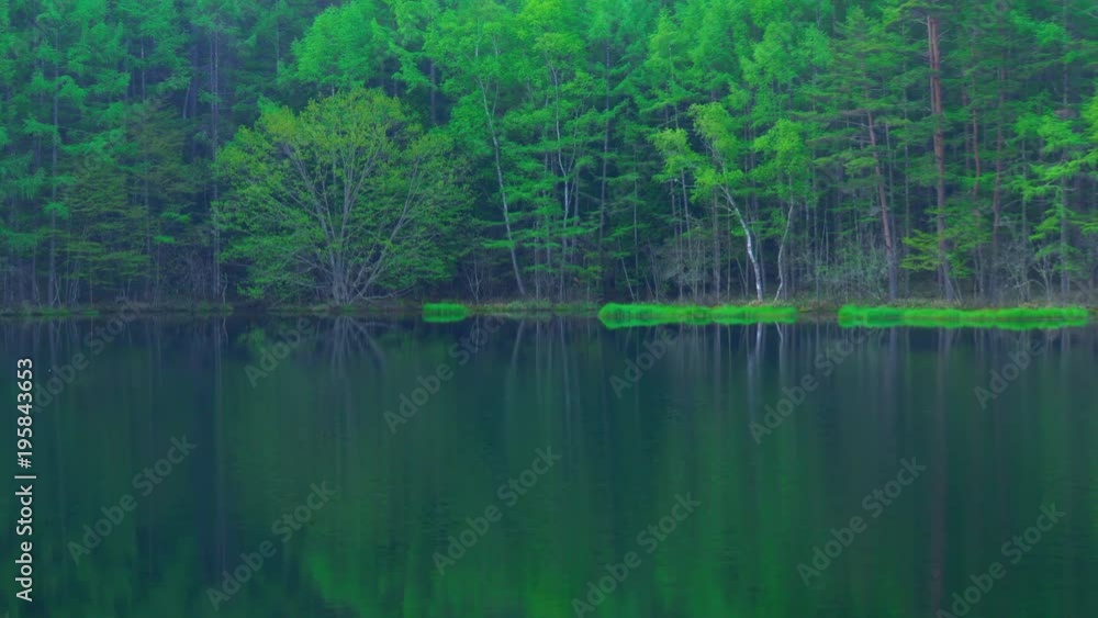 Green forest reflected in calm lake / Mishakaike pond Green forest reflected in calm lake / Mishakaike pond
