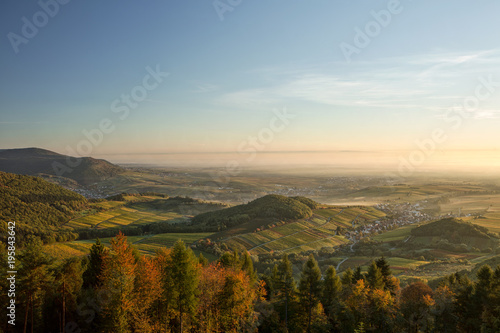 Rhine valley in autumn