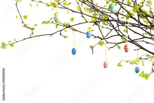 Branches of tree with easter eggs isolated on white. 