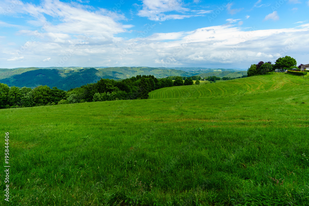 A Lovely Lush Meadow on A Clear Sping Day