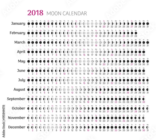 2018 flat lunar calendar with all months. Moon phases on scheduler. Convenient planner for busy people and addicted to astrology. Flat vector illustration of menology