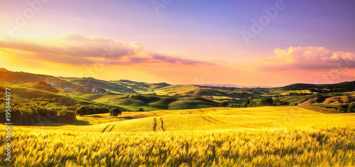 Tuscany spring, rolling hills at sunset. Rural landscape. Whaet, green fields and trees Italy
