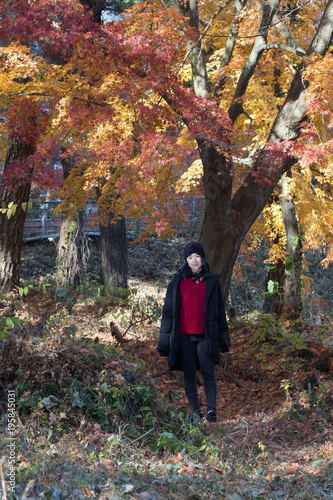 Young female posing in front of beautiful trees in Autumn when the leaves are red, orange and yellow 