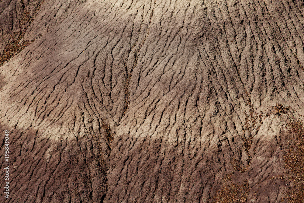 Fototapeta premium Petrified Forest National Park, Arizona USA
