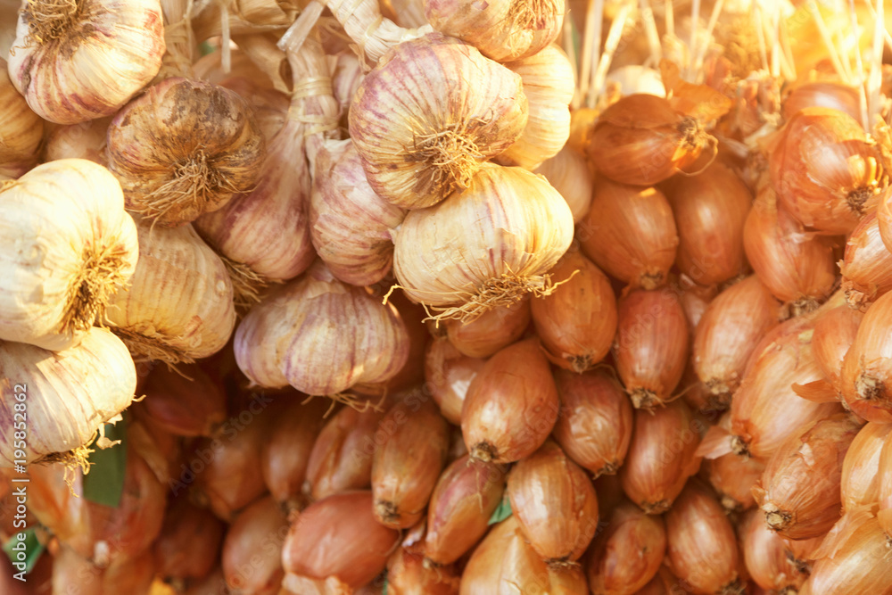 Close up of hanging garlic bulbs and white onions with selective focus and sunlight from behind and space for text. Close up of hanging garlic bulbs and white onions with selective focus and sunlight from behind and space for text.