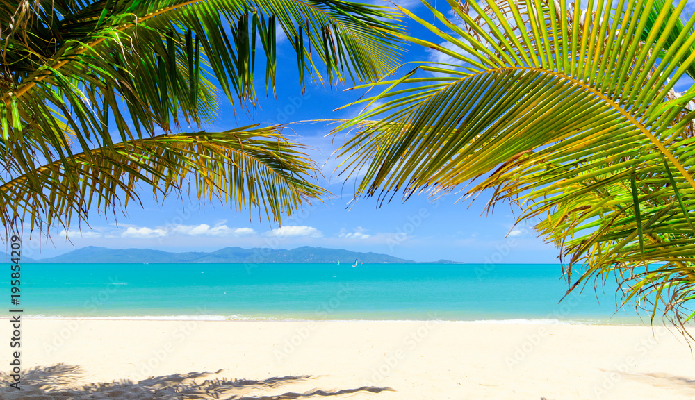 Ferien, Tourismus,  Urlaub, Sommer, Sonne, Strand, Auszeit, Meer, Glück, Entspannung, Meditation: Traumurlaub an einem einsamen, Karibischen Strand :)