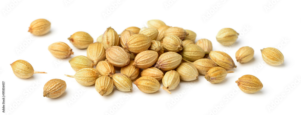 close up of dried coriander seeds isolated on white close up of dried coriander seeds isolated on white