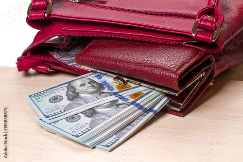 Wallpaper Mural Wallet with dollars in a bag Torontodigital.ca