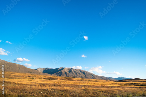 Beautiful scene of the yellow grassland mt cook and lake tekapo before sunset.