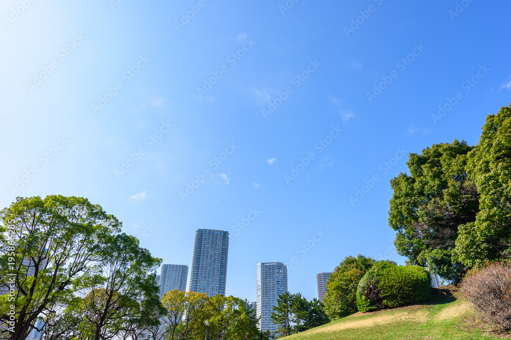 Fototapeta premium 高層マンション群 Highrise condominium