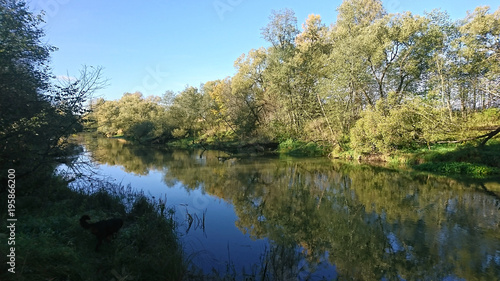 Trees and river under bright blue sky