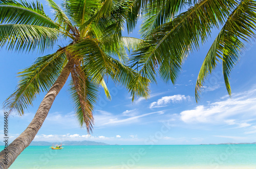 Ferien, Tourismus, Urlaub, Sommer, Sonne, Strand, Auszeit, Meer, Glück, Entspannung, Meditation: Traumurlaub an einem einsamen, Karibischen Strand :)