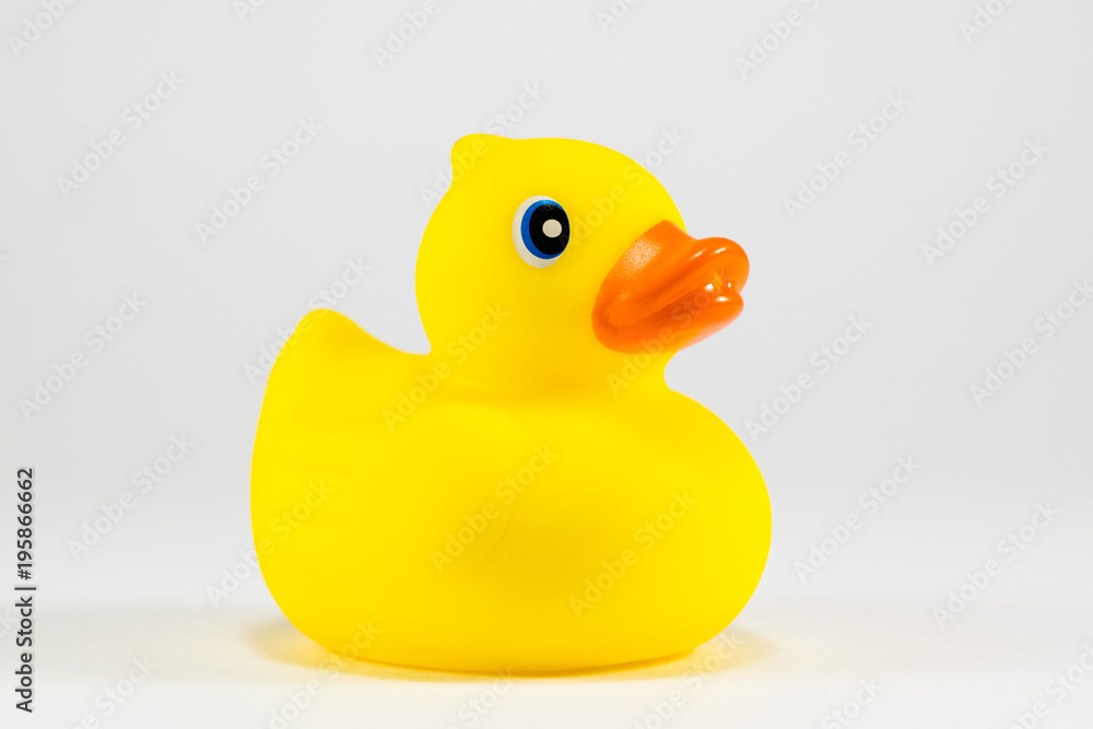 Yellow Rubber Toy Duck, Profile Yellow Rubber Toy Duck, Profile