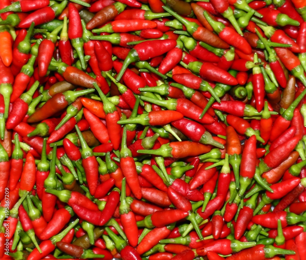 red chili background