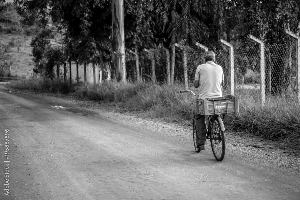 Fototapeta premium Bije