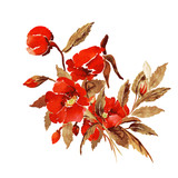 Watercolor illustration of a flowering briar branch.