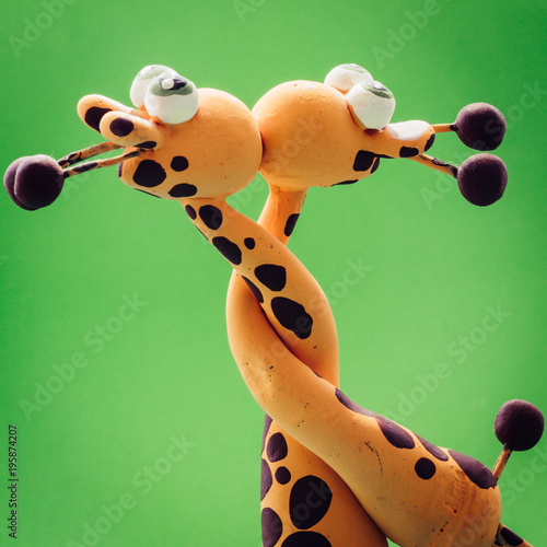 Photography Two giraffes and one kiss