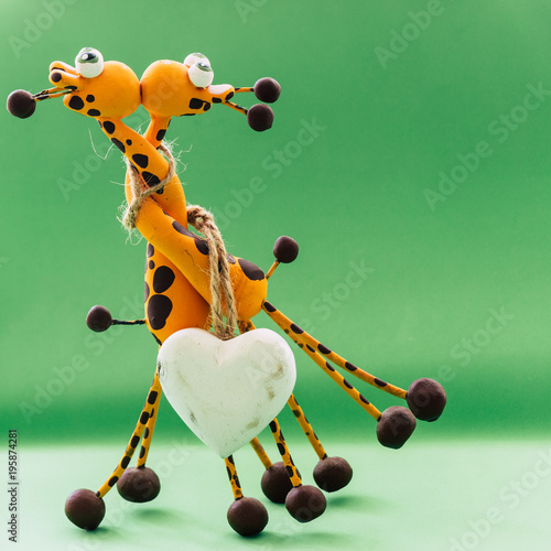 Photography A white heart for two giraffes