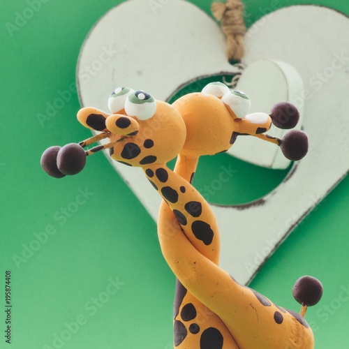 Photography A white heart for two giraffes