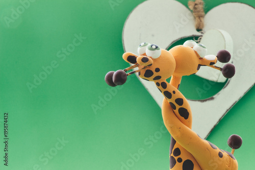 Photography A white heart for two giraffes