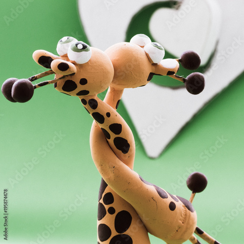 Photography A white heart for two giraffes