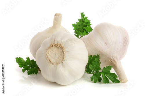 garlic with parsley leaf isolated on white background