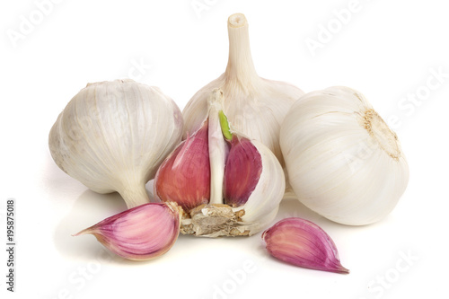 garlic isolated on white background close up