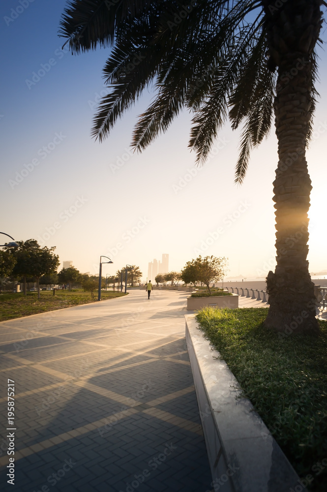 walkway with palms in Abu Dhabi, United Arab Emirates