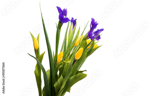 Fototapeta Naklejka Na Ścianę i Meble -  spring bouquet with tulips and iris isolated