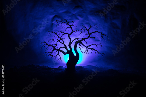 Silhouette of scary Halloween tree on dark foggy toned background with moon on back side. © zef art