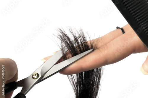 the master with comb and scissors in hands cuts off the client ends, photo close-up, on white background