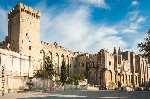 Canvas-taulu Papal Palace in Avignon, France