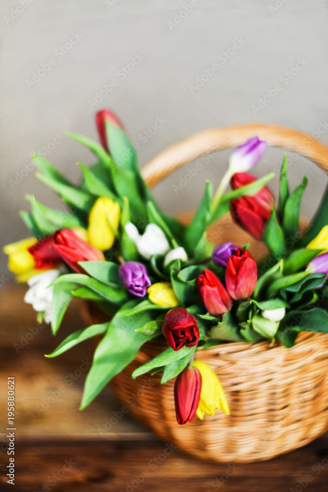 Obraz premium Floral background, greeting card, harvesting, mocap for greetings for mother's day, international women's day: bouquet of colorful tulips in basket on wooden background, copyspace