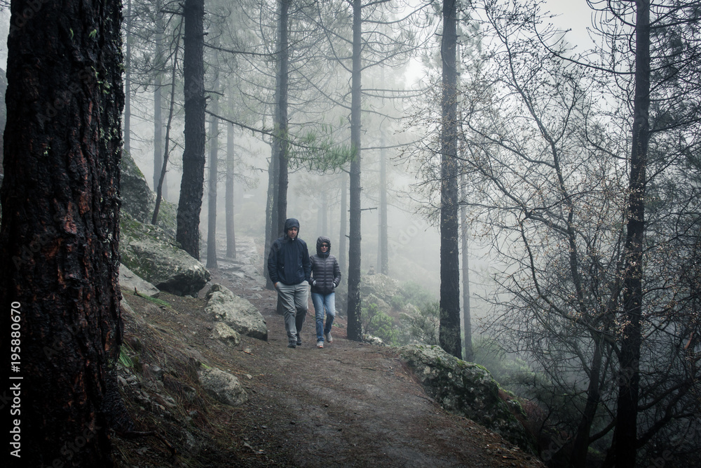 Young couple of hikers coming down forest path on heavy foggy day. People walk though woodland on cold winter morning in Roque Nublo natural park, Gran Canaria Young couple of hikers coming down forest path on heavy foggy day. People walk though woodland on cold winter morning in Roque Nublo natural park, Gran Canaria