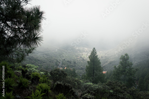 Green forest panorama with small town covered by dense fog in the background in Roque Nublo natural park  Gran Canaria. Valley view under heavy mist in Canary Islands  Spain